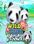 เปิดเผยสูตรเล่น dreamtech slot อย่างมืออาชีพ